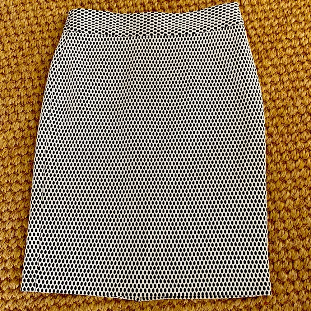 Banana Republic Skirt